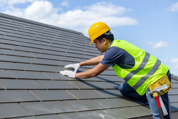 Best Roof Gutter Cleaning  in Maan, ND