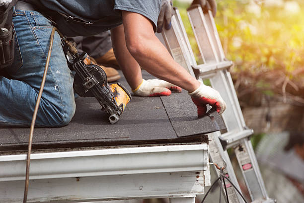 Best Gutter Installation and Roofing  in Maan, ND