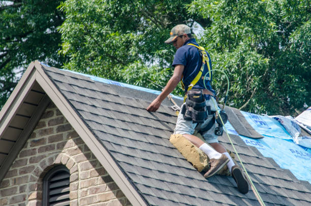 Best New Roof Installation  in Maan, ND